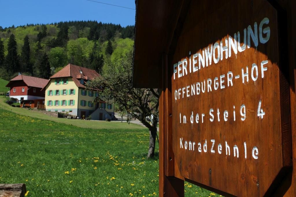 Offenburger Hof Apartment Schuttertal Exterior foto