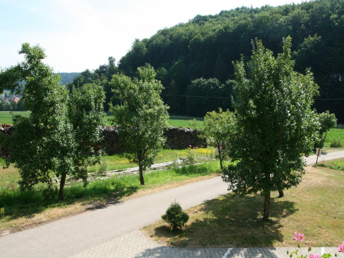 Offenburger Hof Apartment Schuttertal Exterior foto